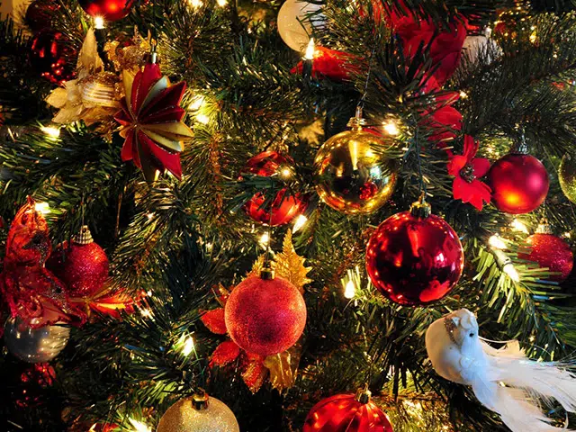 special-offers image